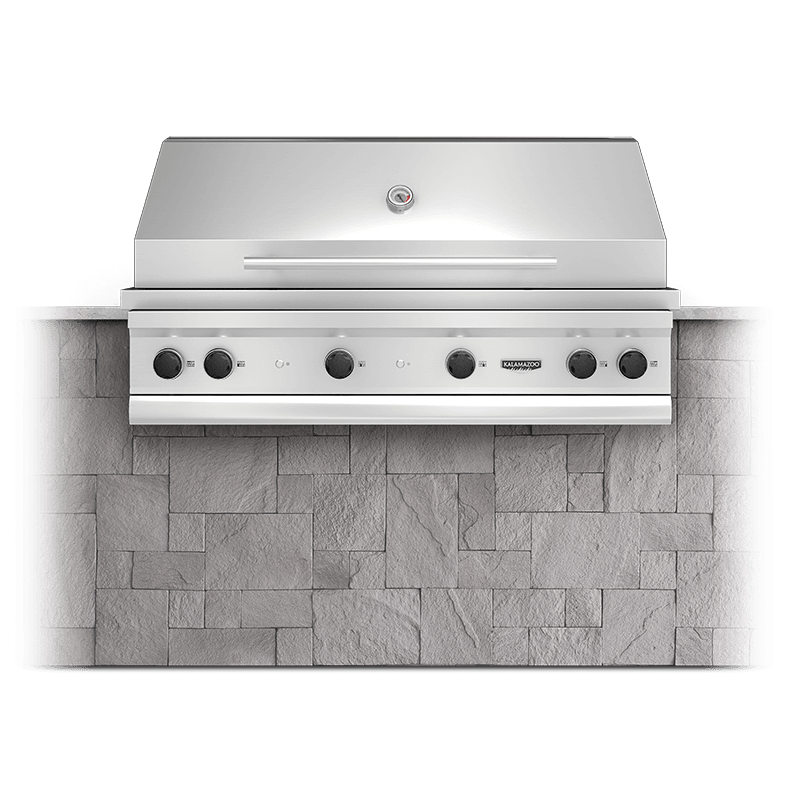 Echo 5 (Gas Grill Head) image